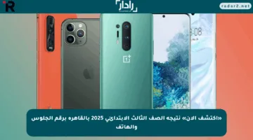 «اكتشف الآن» نتيجة الصف الثالث الابتدائي 2025 بالقاهرة برقم الجلوس والهاتف
